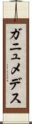 ガニュメデス Scroll