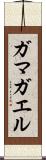 ガマガエル Scroll