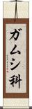 ガムシ科 Scroll