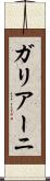 ガリアーニ Scroll