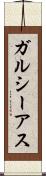 ガルシーアス Scroll
