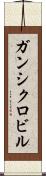 ガンシクロビル Scroll