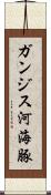 ガンジス河海豚 Scroll