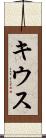 キウス Scroll