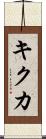 キクカ Scroll