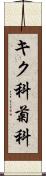 キク科;菊科 Scroll