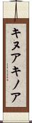 キヌア Scroll