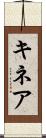 キネア Scroll