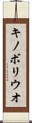 キノボリウオ Scroll