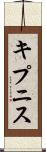 キプニス Scroll