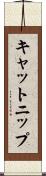 キャットニップ Scroll