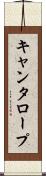キャンタロープ Scroll