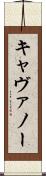 キャヴァノー Scroll