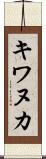 キワヌカ Scroll