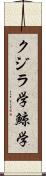 クジラ学 Scroll