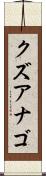 クズアナゴ Scroll