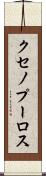 クセノプーロス Scroll