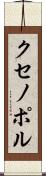 クセノポル Scroll