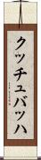 クッチュバッハ Scroll
