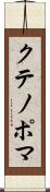 クテノポマ Scroll