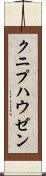 クニプハウゼン Scroll