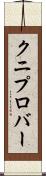 クニプロバー Scroll