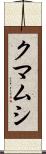 クマムシ Scroll