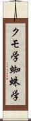クモ学 Scroll