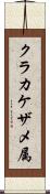 クラカケザメ属 Scroll