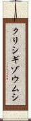 クリシギゾウムシ Scroll