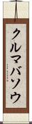 クルマバソウ Scroll