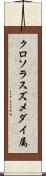 クロソラスズメダイ属 Scroll