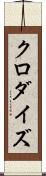 クロダイズ Scroll