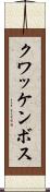 クワッケンボス Scroll