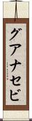 グアナセビ Scroll