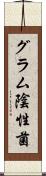 グラム陰性菌 Scroll
