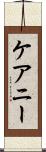 ケアニー Scroll