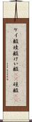 ケイ酸 Scroll