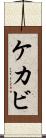 ケカビ Scroll