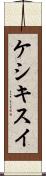 ケシキスイ Scroll