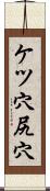 ケツ穴 Scroll