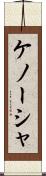 ケノーシャ Scroll