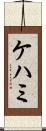 ケハミ Scroll