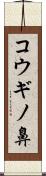 コウギノ鼻 Scroll