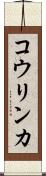 コウリンカ Scroll