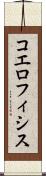 コエロフィシス Scroll