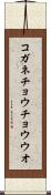 コガネチョウチョウウオ Scroll