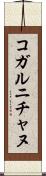 コガルニチャヌ Scroll