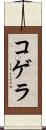 コゲラ Scroll