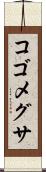 コゴメグサ Scroll